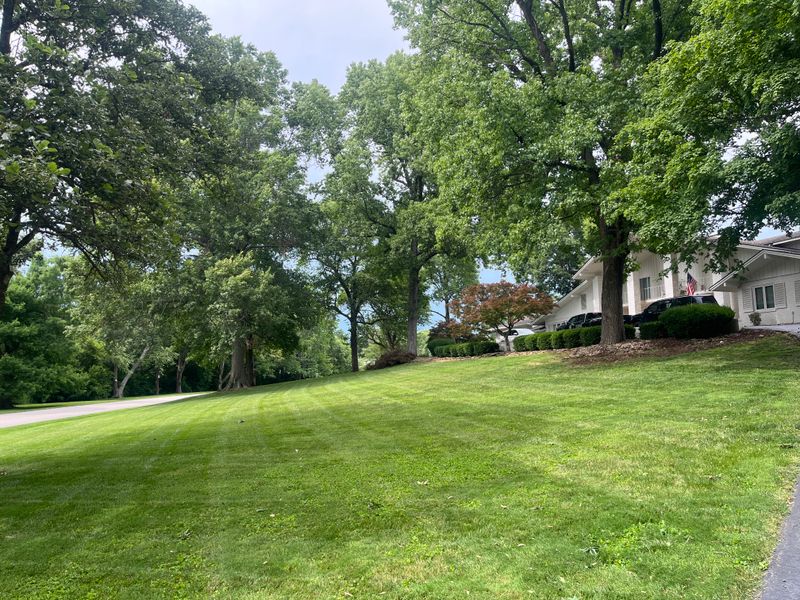 Mowing