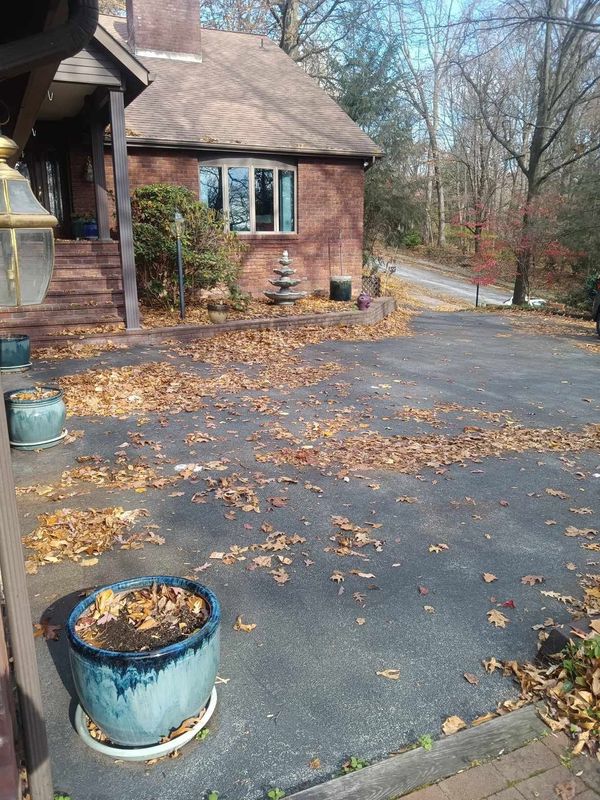 Fall and Spring Clean Up