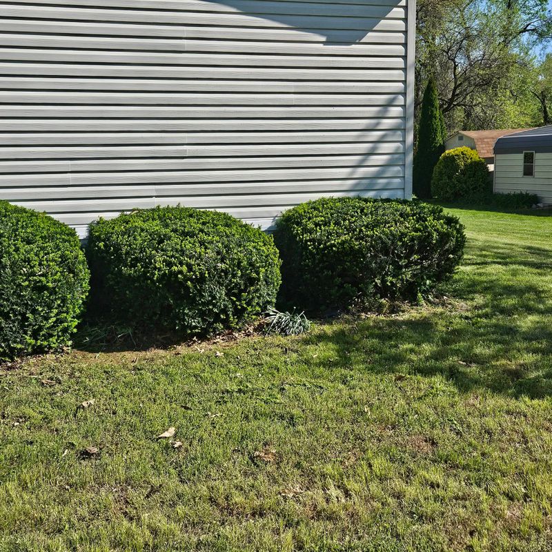 Residential Lawn Care