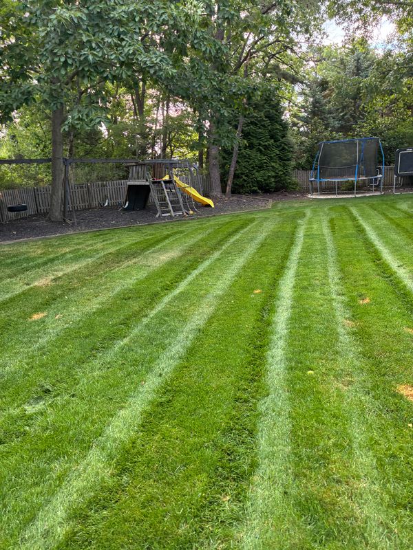Lawn Maintenance