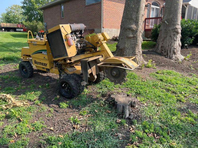 Mulch Delivery