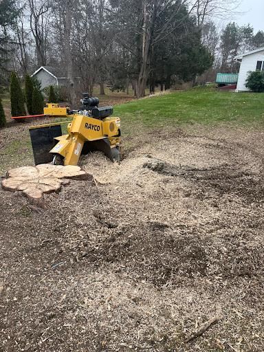 Stump Removal / Stump grinding