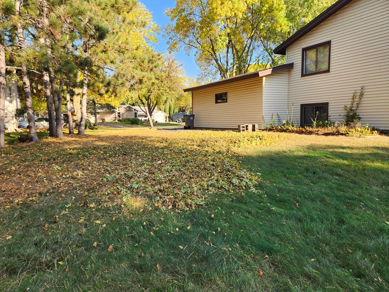 Fall and spring clean up 