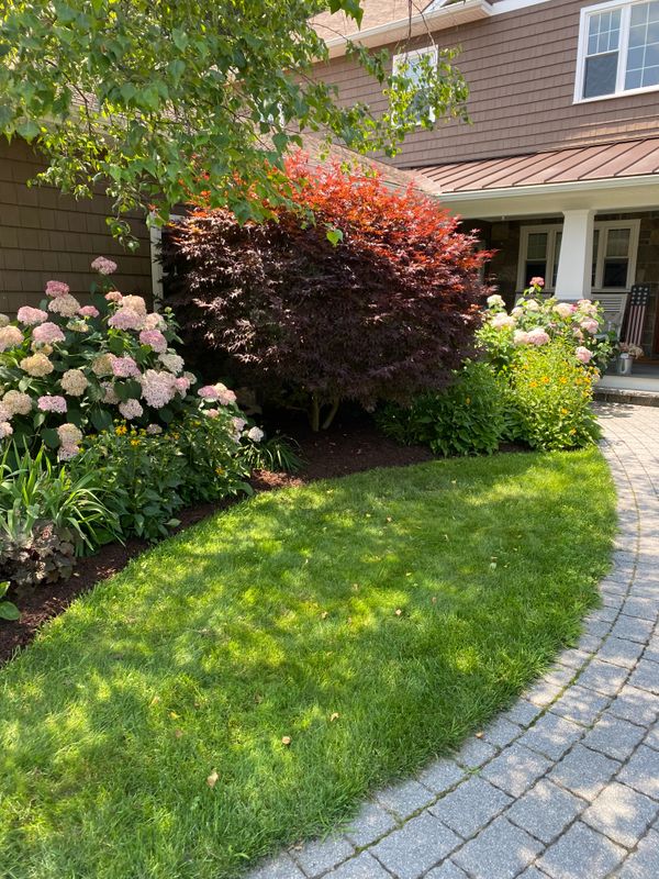 Lawn Maintenance