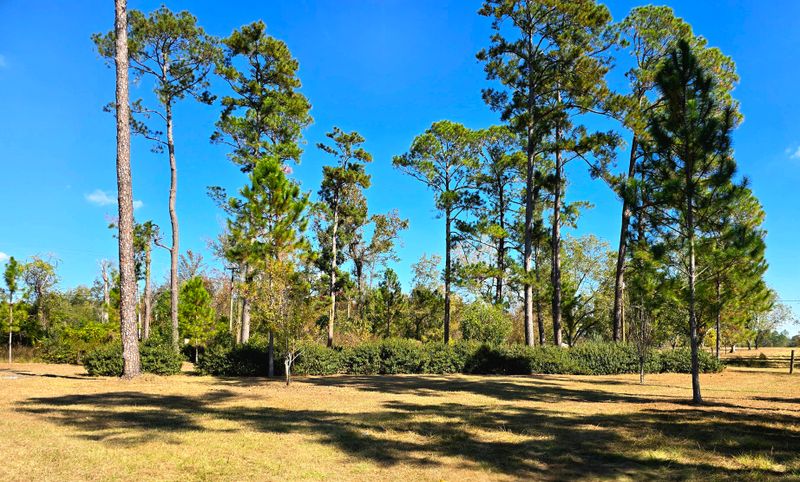 Land Clearing