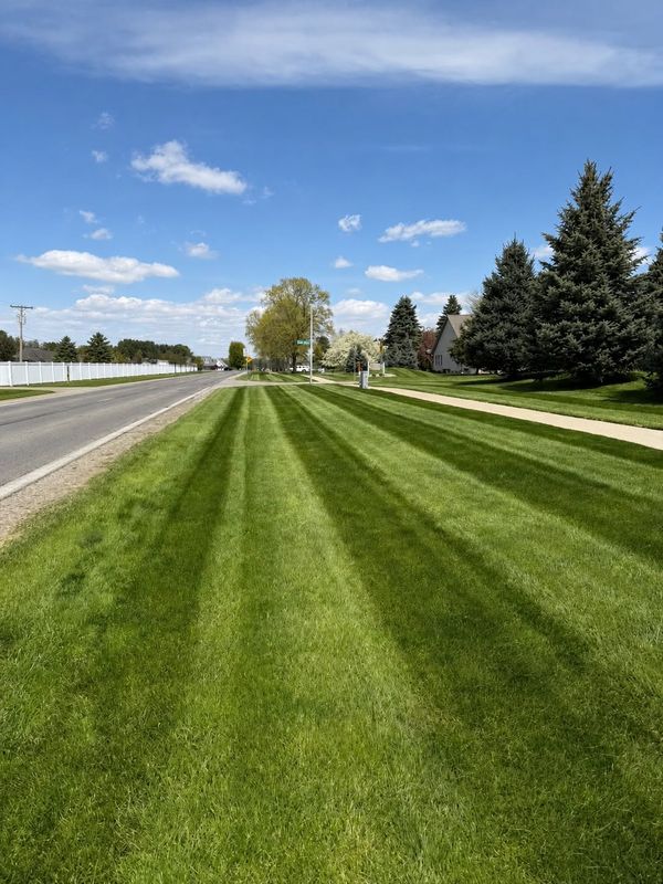 Lawn Maintenance