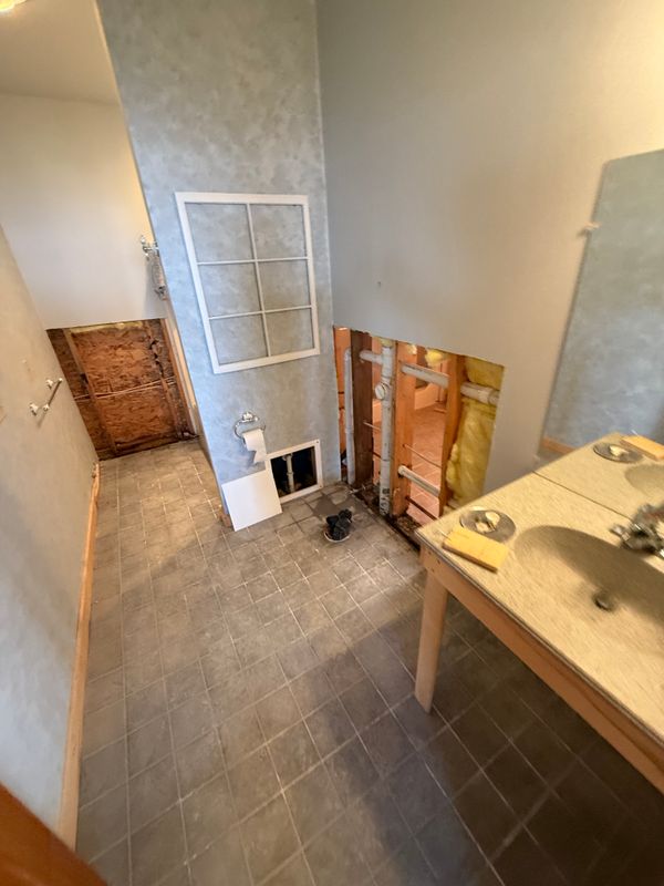 Mold Remediation