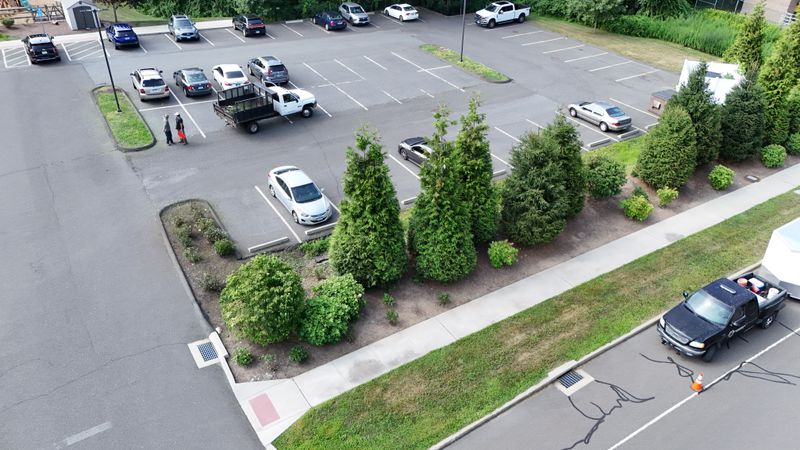 Commercial Landscape Maintenance