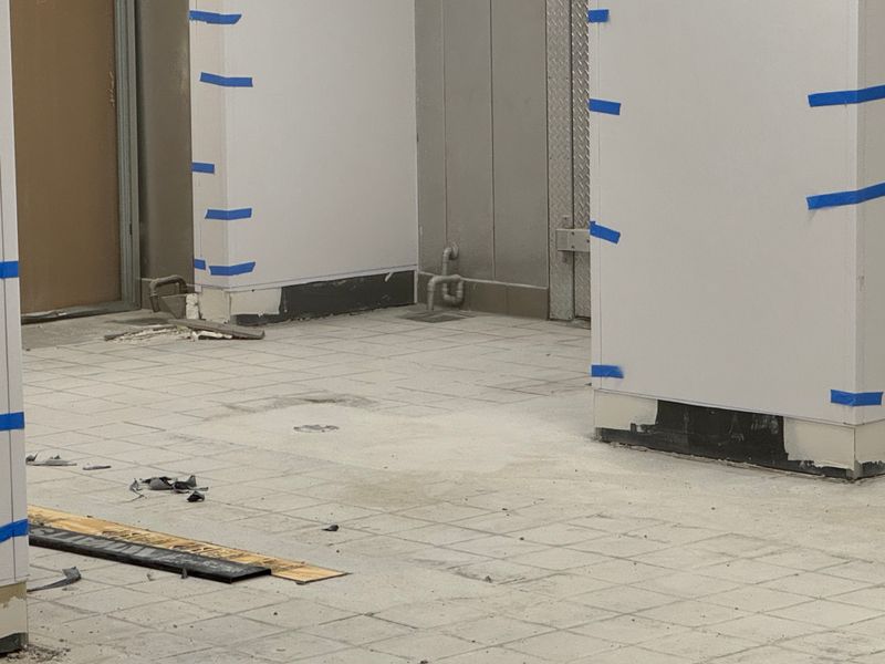 Metallics Epoxy Flooring