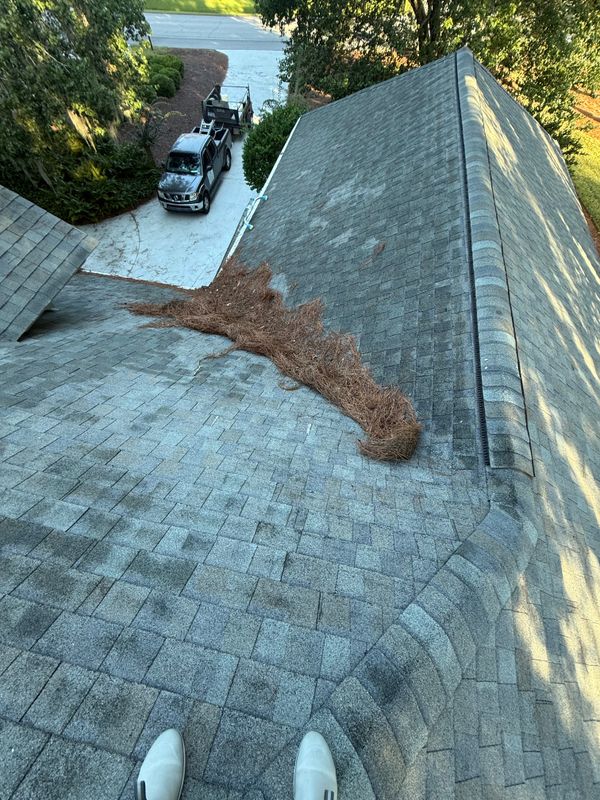 Roof Blowing