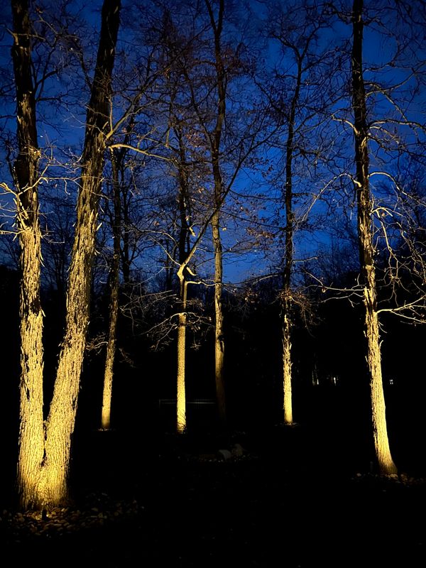 Landscape Lighting gallery