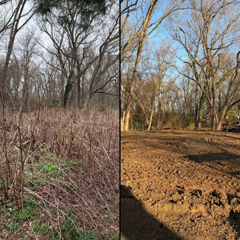 Land Clearing and Site Preparation