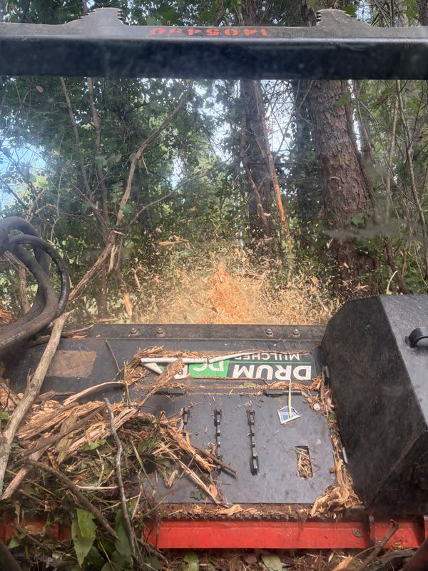 Land Clearing Photos