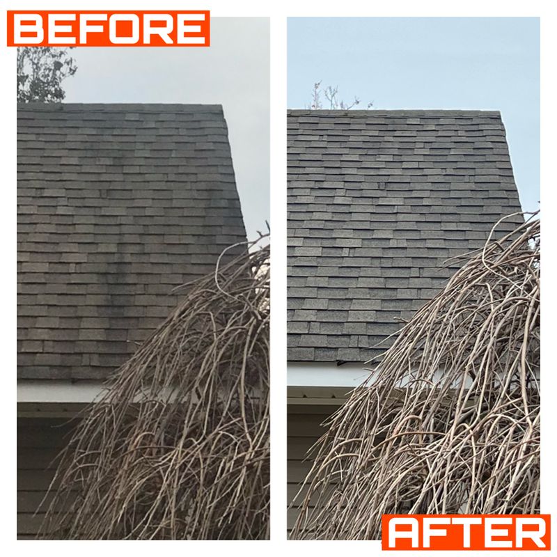 Roof Cleaning