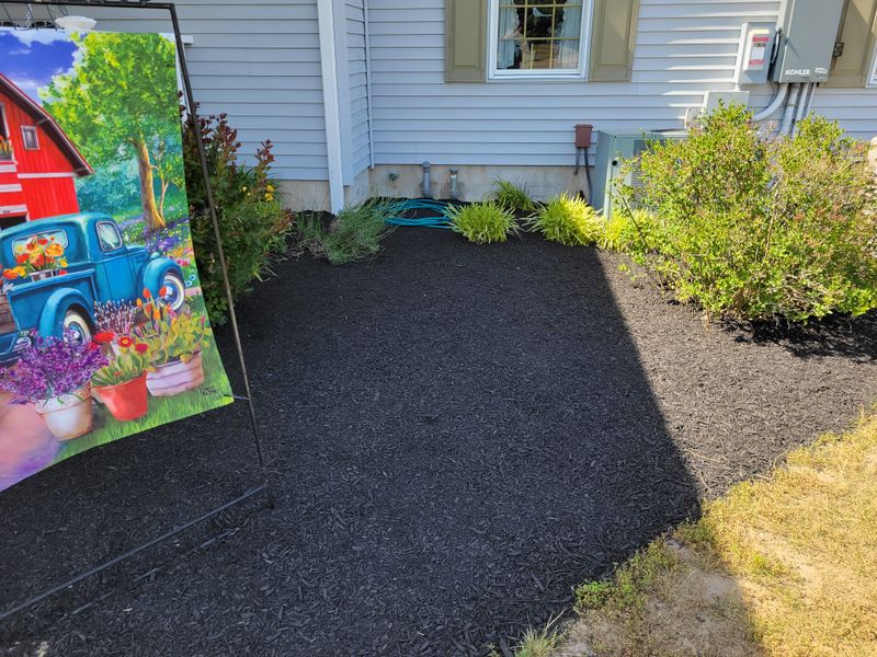 Garden Design and Installation