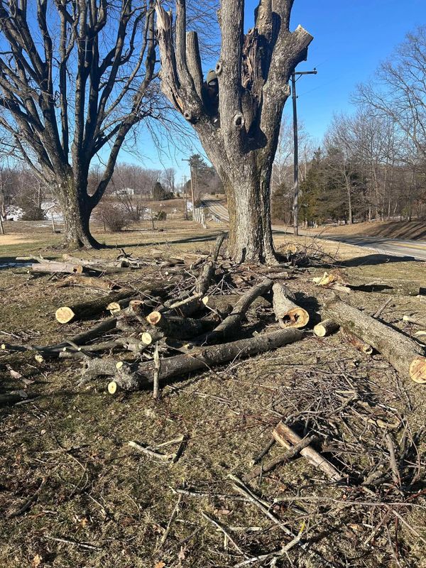 Land Clearing
