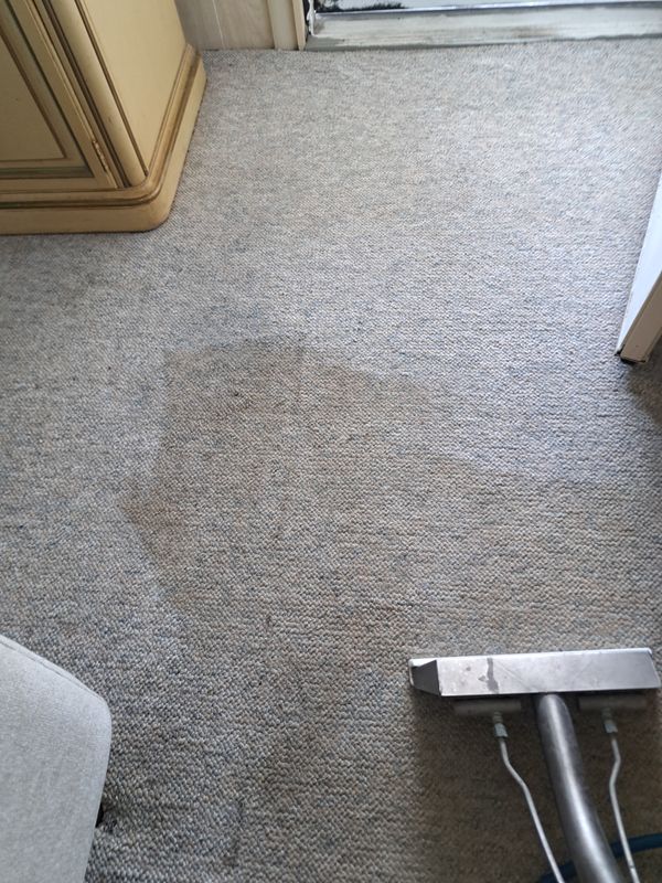 Carpet Cleaning