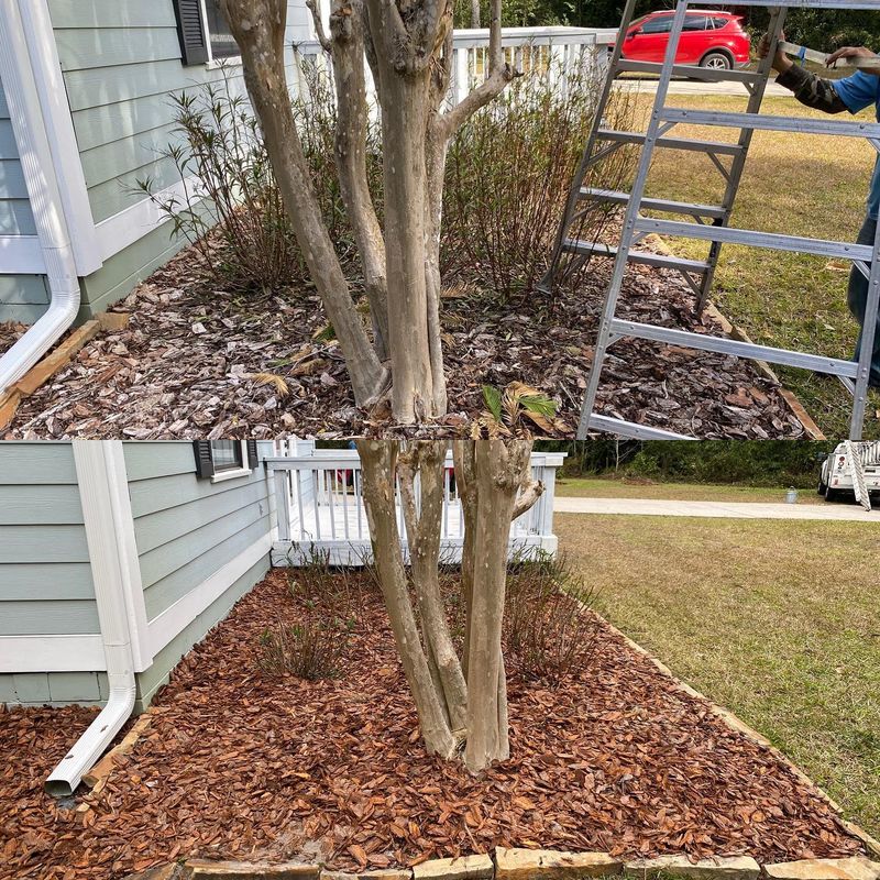 Landscape & Property Cleanup