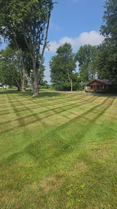 Lawn Care & Maintenance