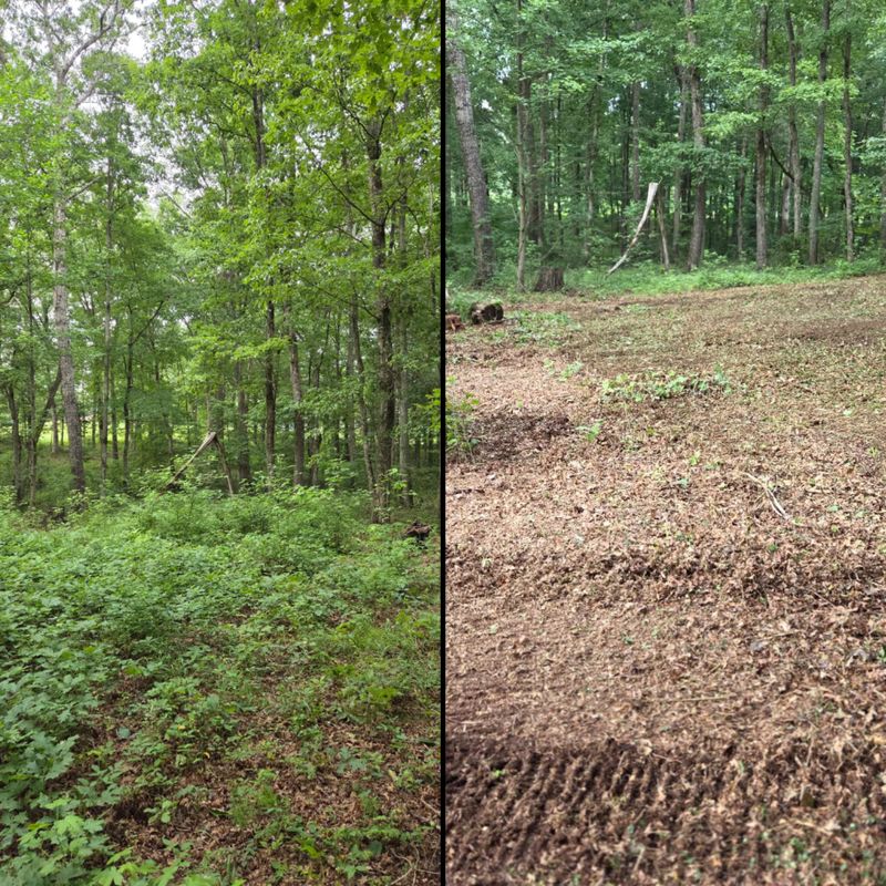 Land Clearing