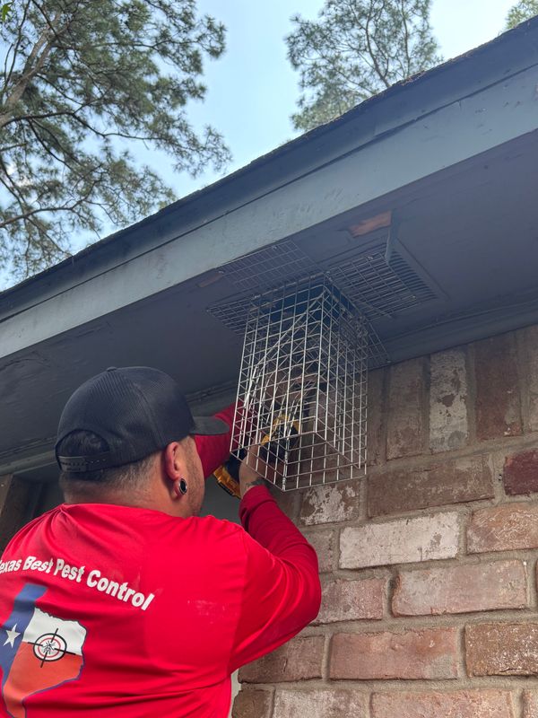 Rodent Control