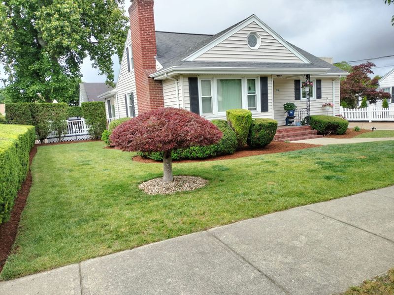 Lawn Aeration