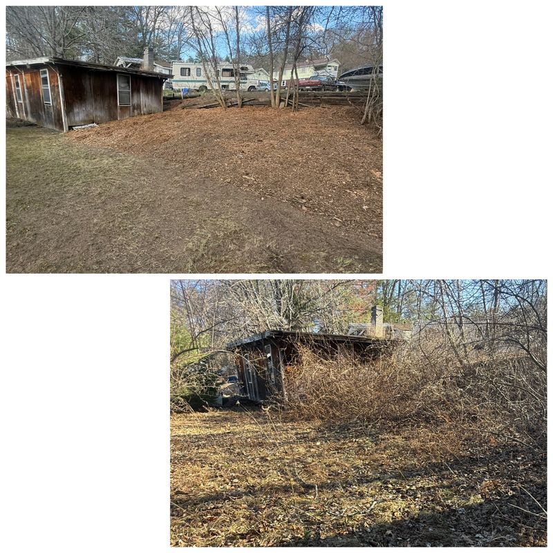 Brush Removal