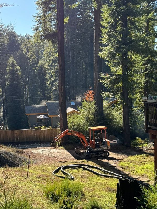 Tree Services
