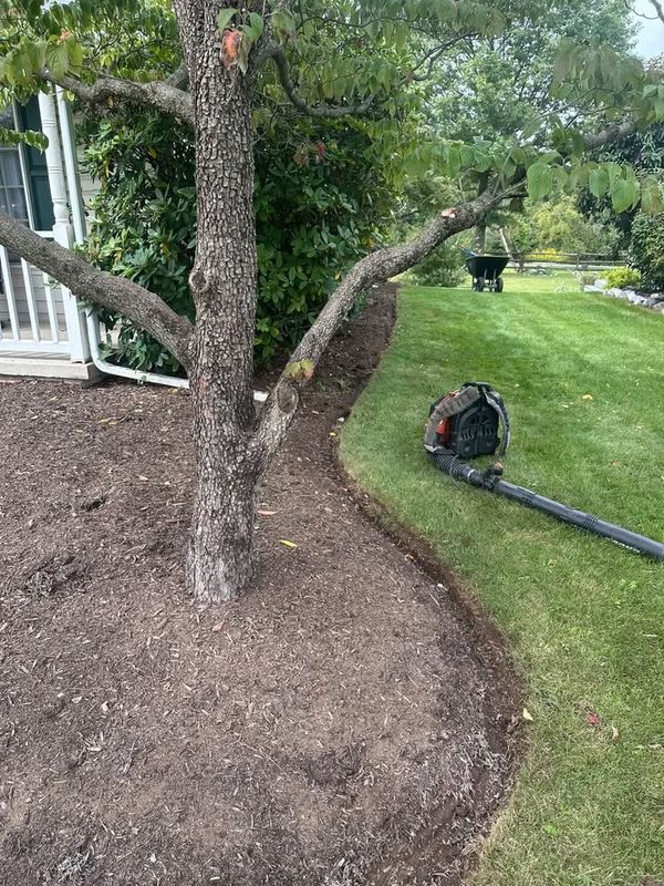 Lawn Mowing