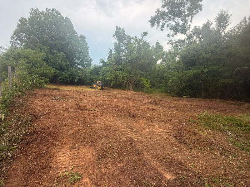 Land Clearing