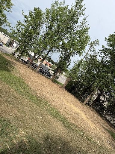 Land Clearing