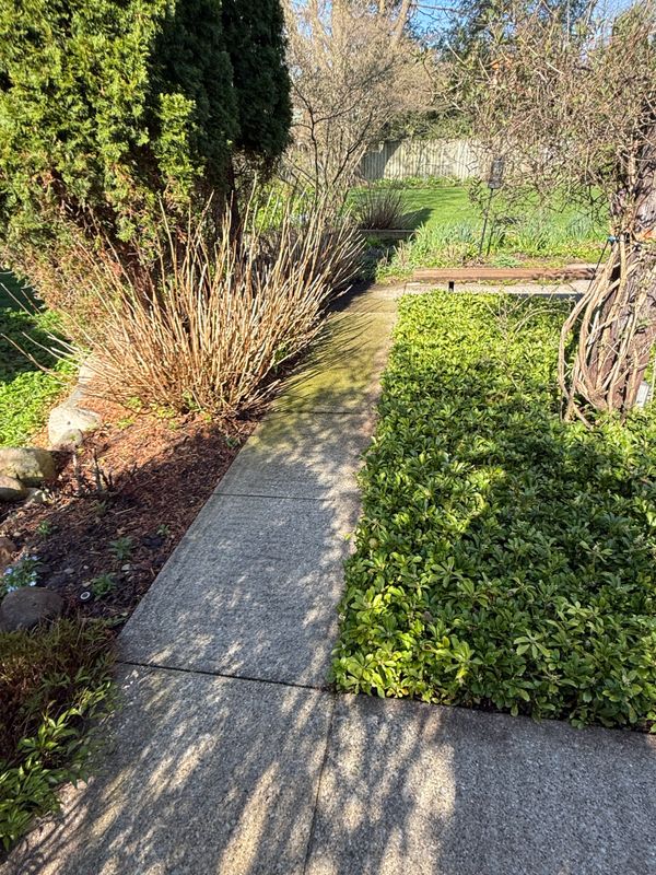 Powerwashing