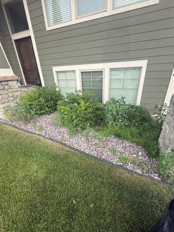 Garden Designs