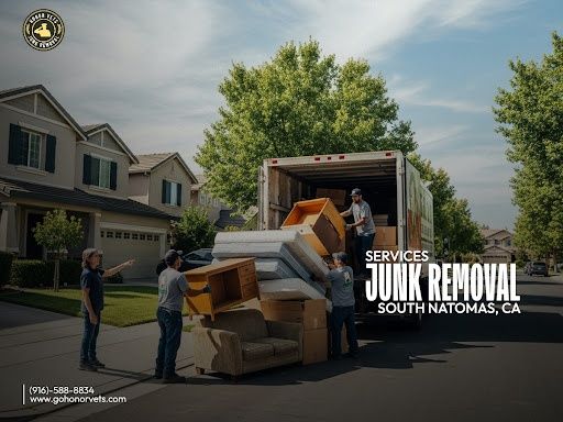 Junk Removal