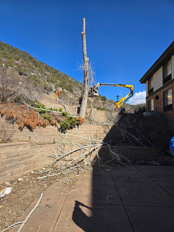 Site Work