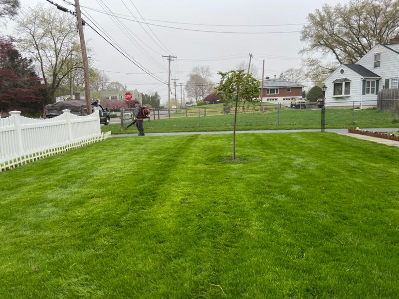 Landscaping