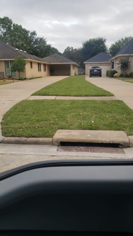Turf & Sod Installation