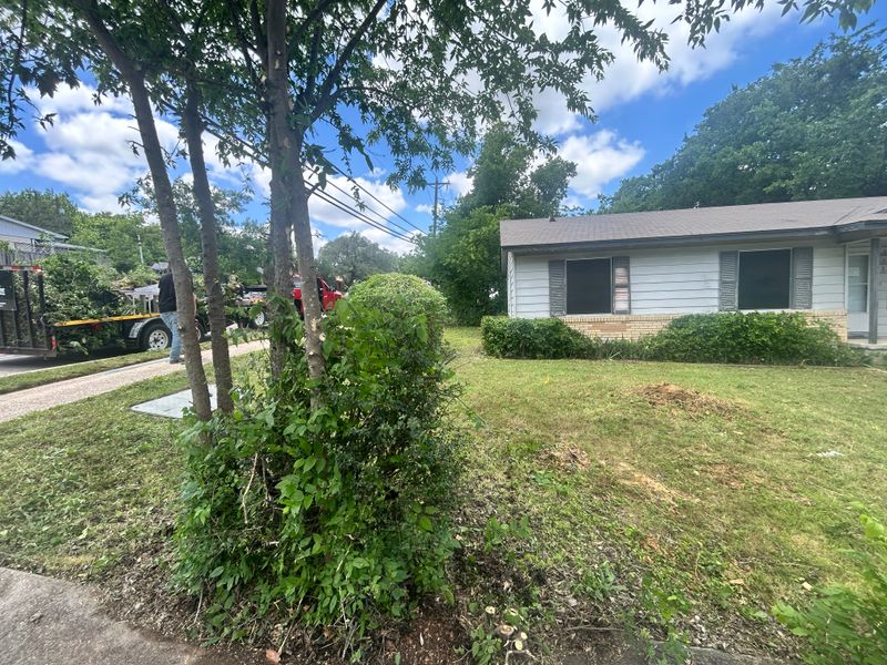 Shrubbery trimming and removal