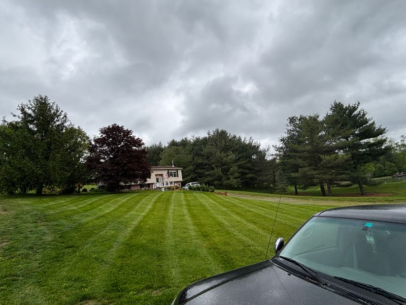 Lawn Care