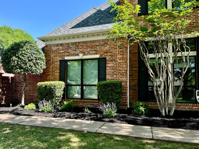 Landscape Design and Installation