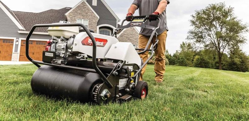Lawn Maintenance