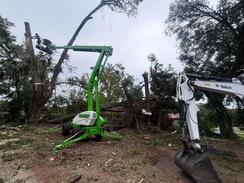 Tree Trimming and Removal