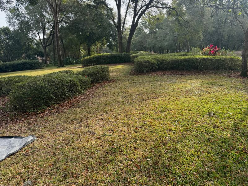 Fall Clean Up