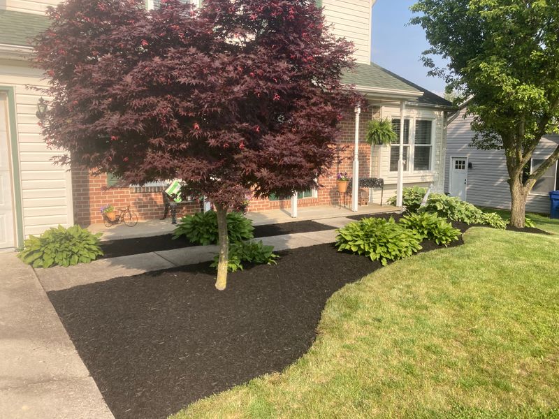 Landscape Design