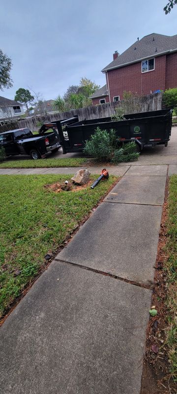 Tree Removal gallery