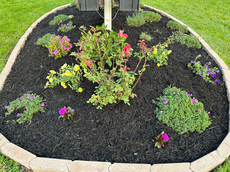 Landscaping