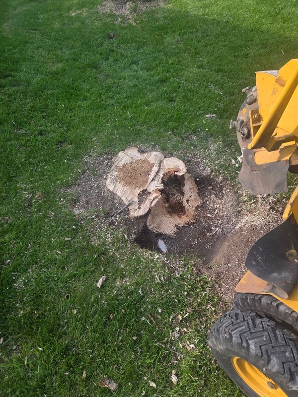 Stump Removal