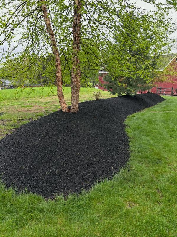 Hardscaping and Landscape Construction