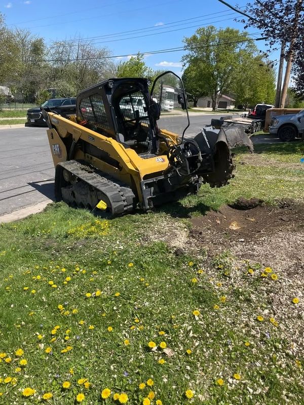 Stump Removal