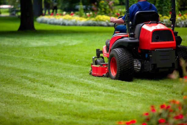 Lawn Maintenance